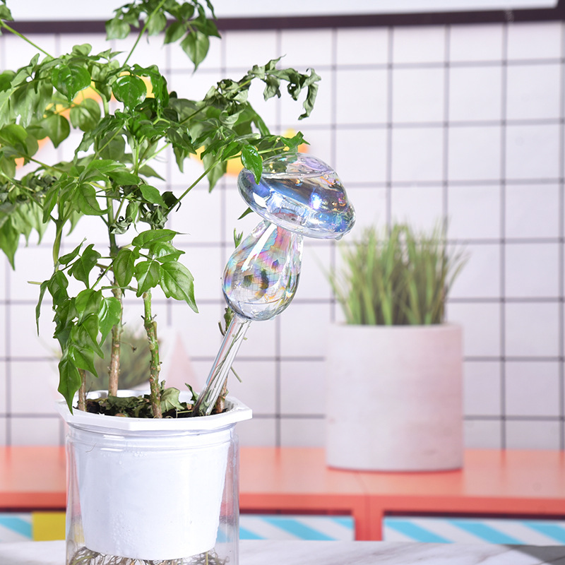 1/2PCS 유리 짚 자동 식물 급수 전구 자체 급수  - Water Filter Straw 리뷰 및 가격